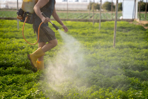 Best Pest Removal Services  in Douglas, AL