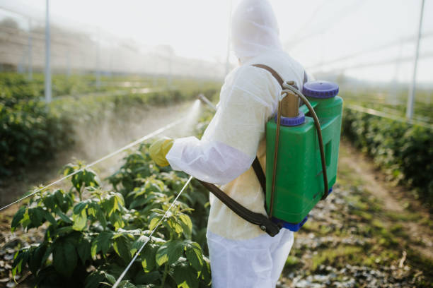 Best Residential Pest Control  in Douglas, AL